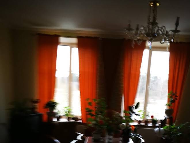 Pavovere 2