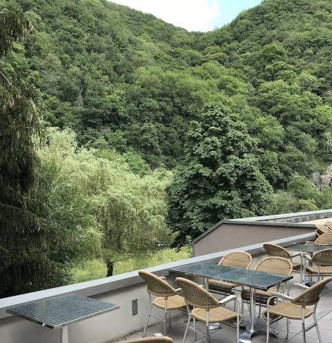 Hotel du moulin