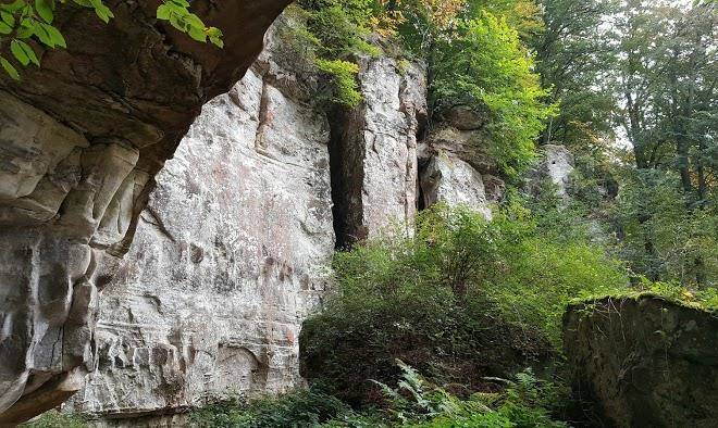 Hotel Des Cascades Image