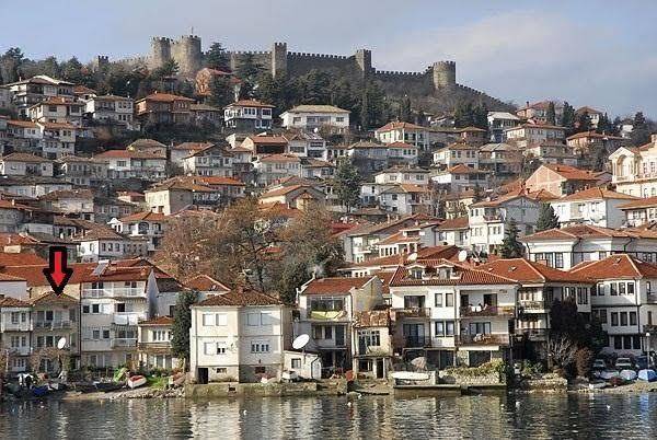 Vila albina
