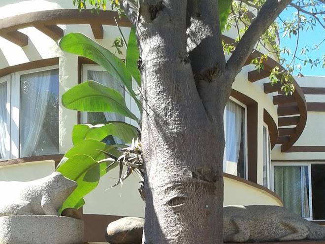 Athana hotel