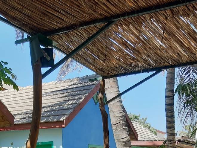 Longo Hotel Arcobaleno Image