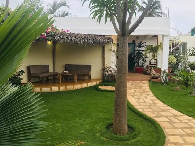 Jardin exotique