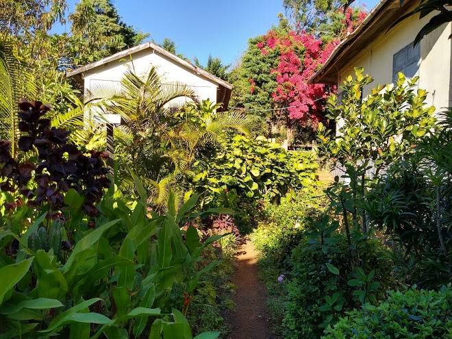 Relais de la montagne d'ambre
