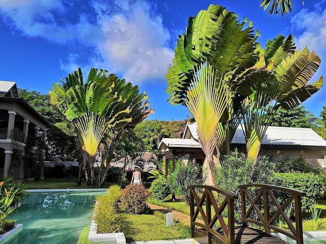 Hotel palm beach