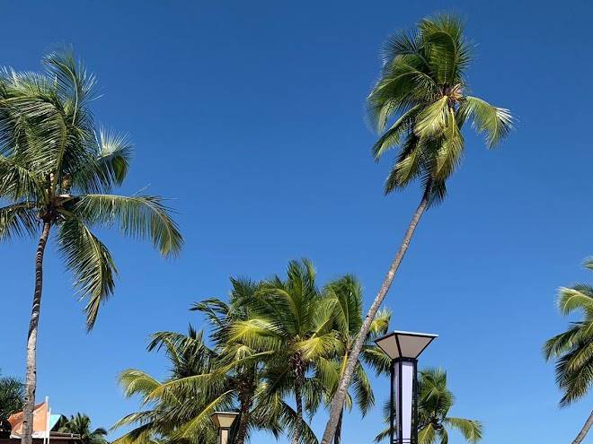 Royal beach hotel & spa