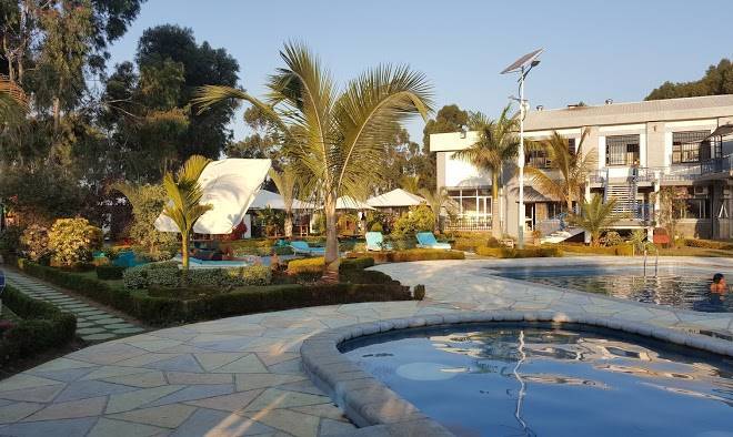 Hotel eucalyptus