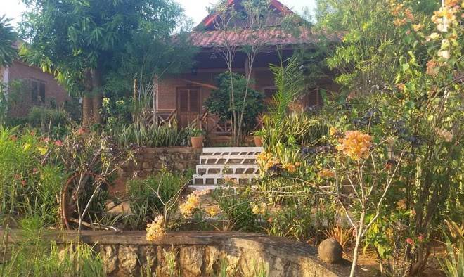 Orchidee Du Bemaraha Image