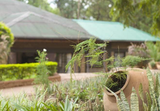 Woodlands lilongwe
