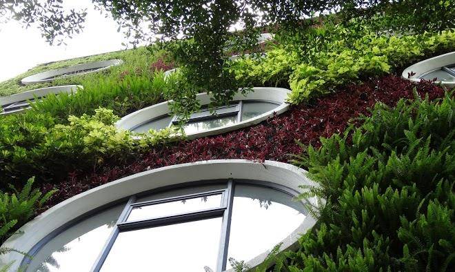Flora by crossroads hotel