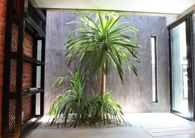The owl homestay