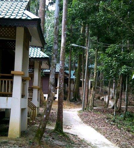 Sedim rainforest resort
