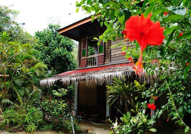 Butterfly jungle lodge