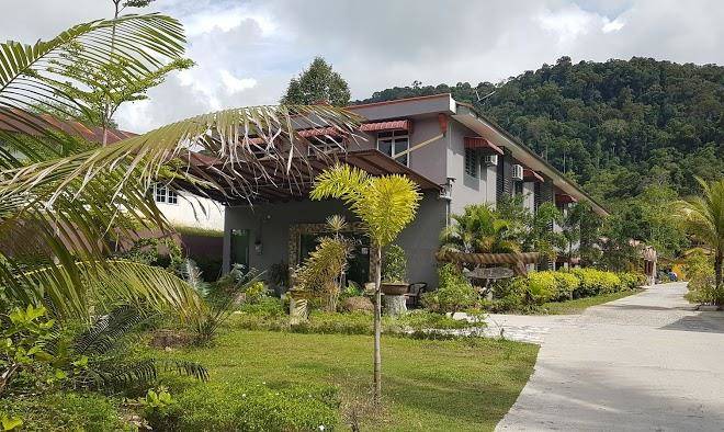 My forest hotel