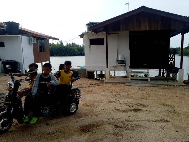 Idaman pcb riverview