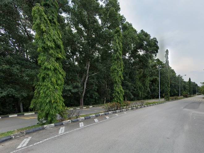 Arizaish homestay