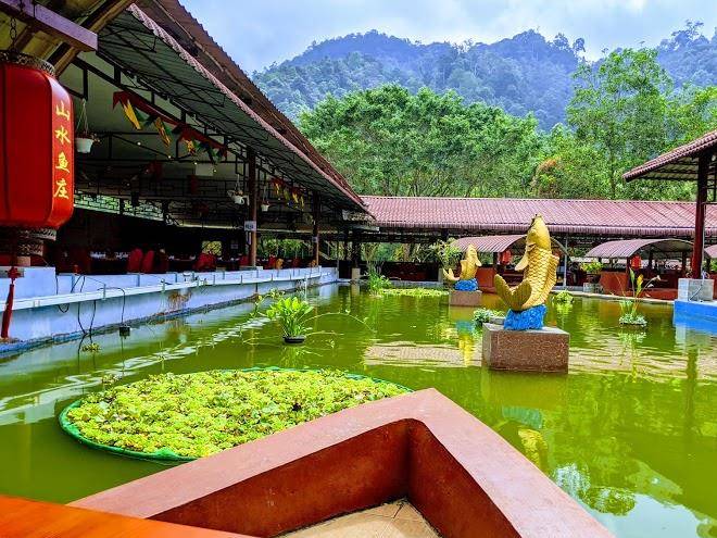 Dzh Health Resort Club Image