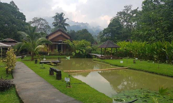 Teratak malaya