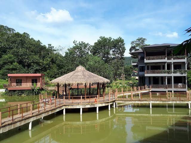 The acacia retreat