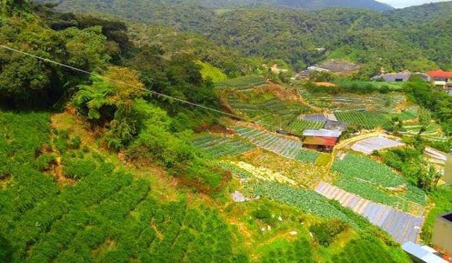 Hotel Chua Gin Image