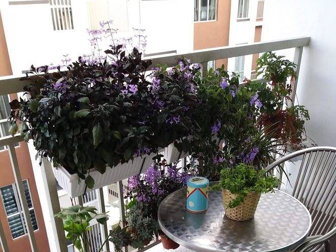 Secret garden de cameron
