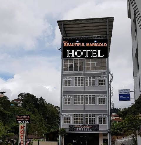 The Beautiful Marigold Hotel Image