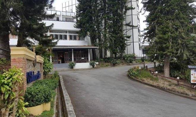 Puncak inn
