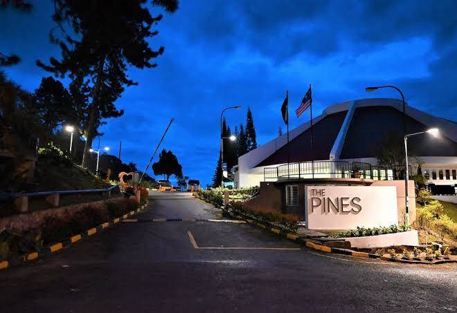 The pines fraser's hill