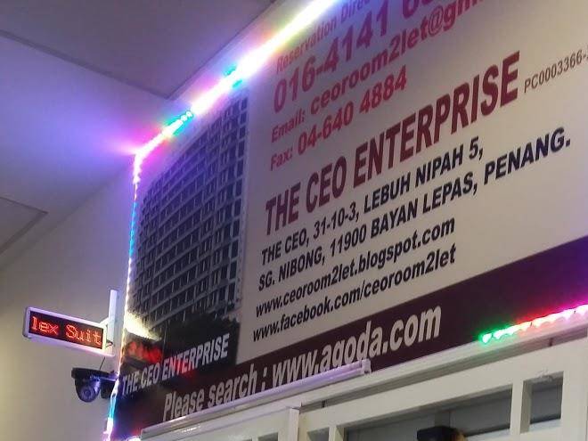 The ceo enterprise