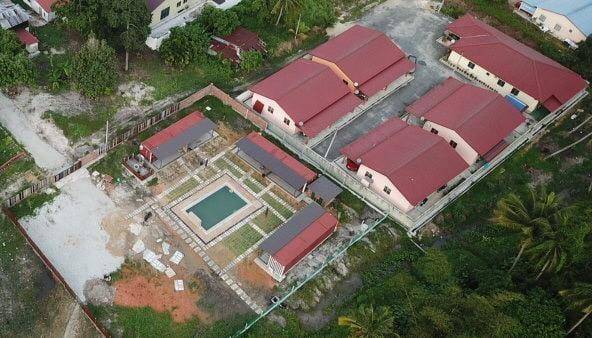 The petak lumut