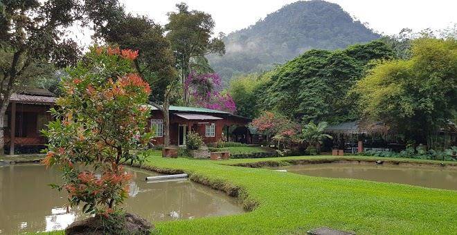Gopeng rainforest resort