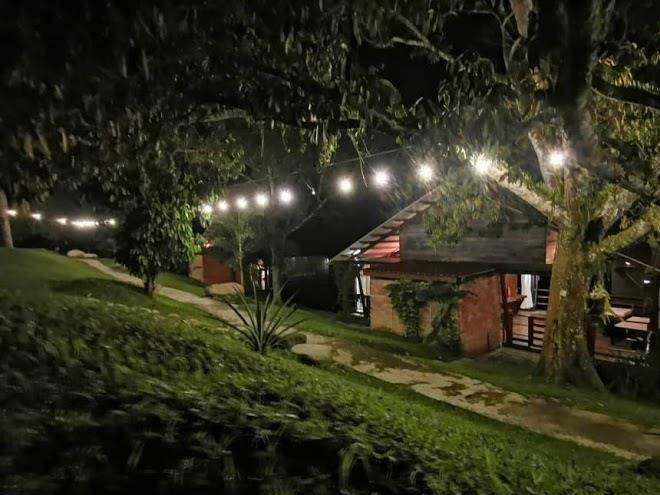 Hijau gopeng