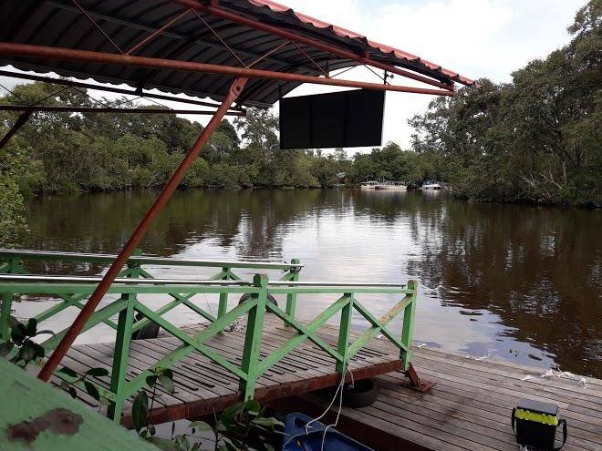 Borneo proboscis river lodge