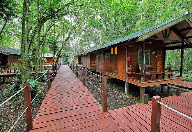 Nature Lodge Kinabatangan Image