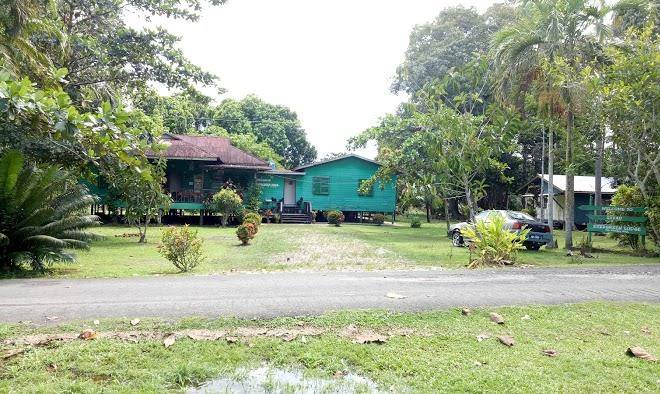 Sukau evergreen lodge and tours