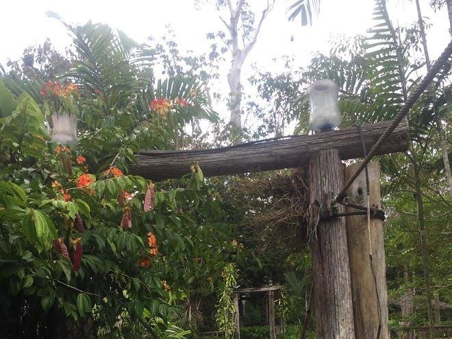 Balung river eco resort
