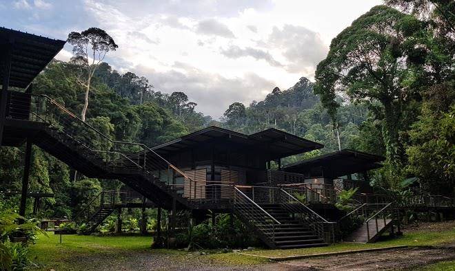 Borneo rainforest lodge
