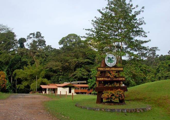 Danum valley field centre