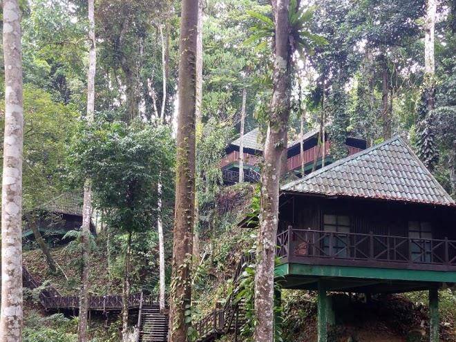 Tabin Wildlife Holidays Sdn Bhd Image