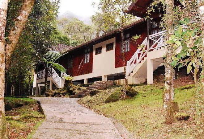 Mesilau nature resort