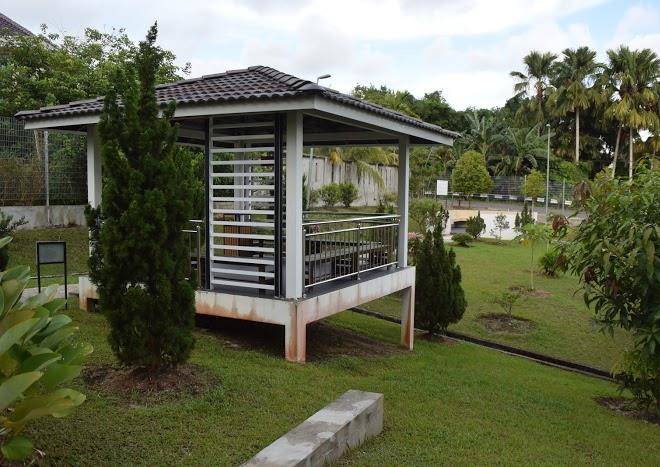 Kein eco homestay miri