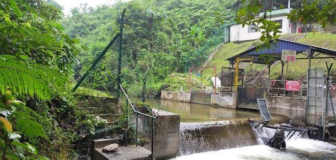 Jungle lodge alang sedayu