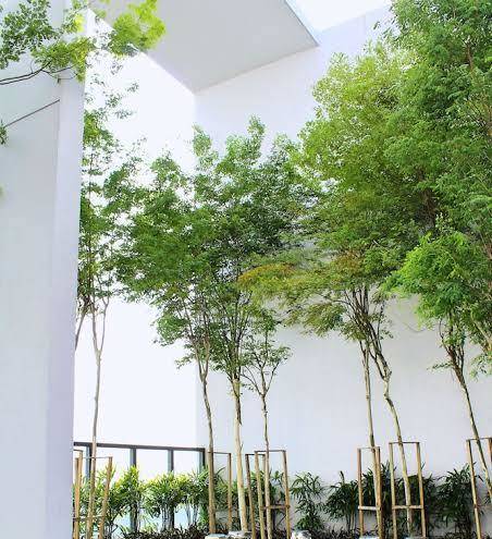 Hub petaling jaya