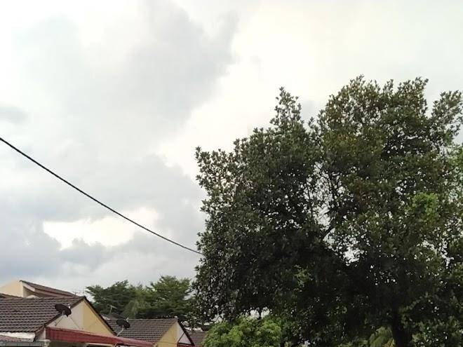 Seri kembangan star hotel