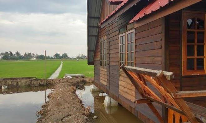 D'sawah bendang homestay