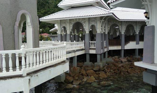 Anis Perhentian Image