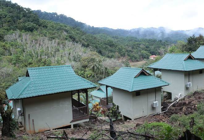 Redang de' rimba