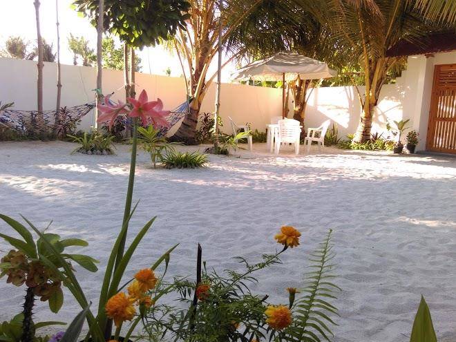 Palm garden