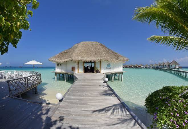 Safari island maldives