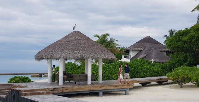 Amaya kuda rah maldives